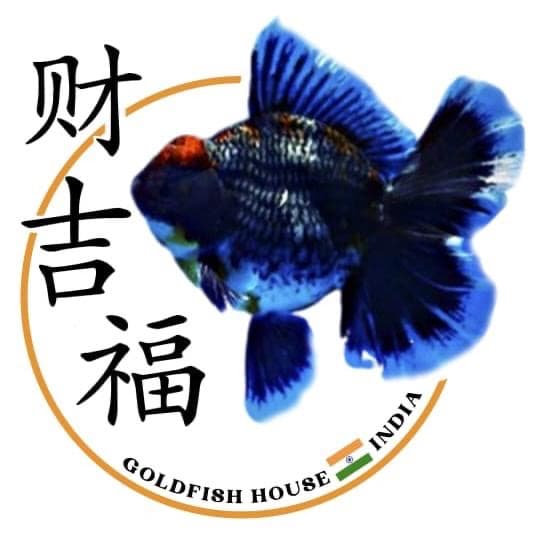 Goldfish House India